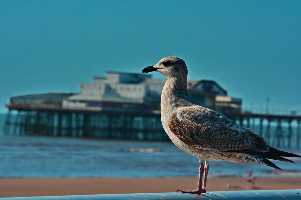 The Derby Hotel Blackpool Exterior foto